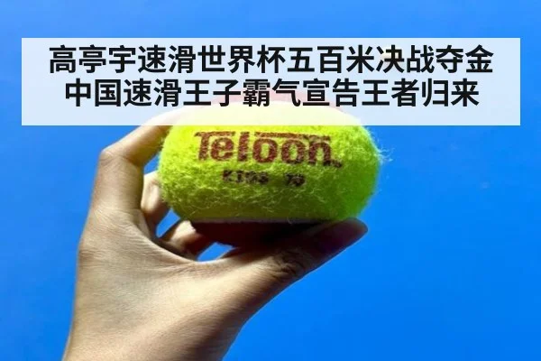 高亭宇速滑世界杯五百米决战夺金中国速滑王子霸气宣告王者归来